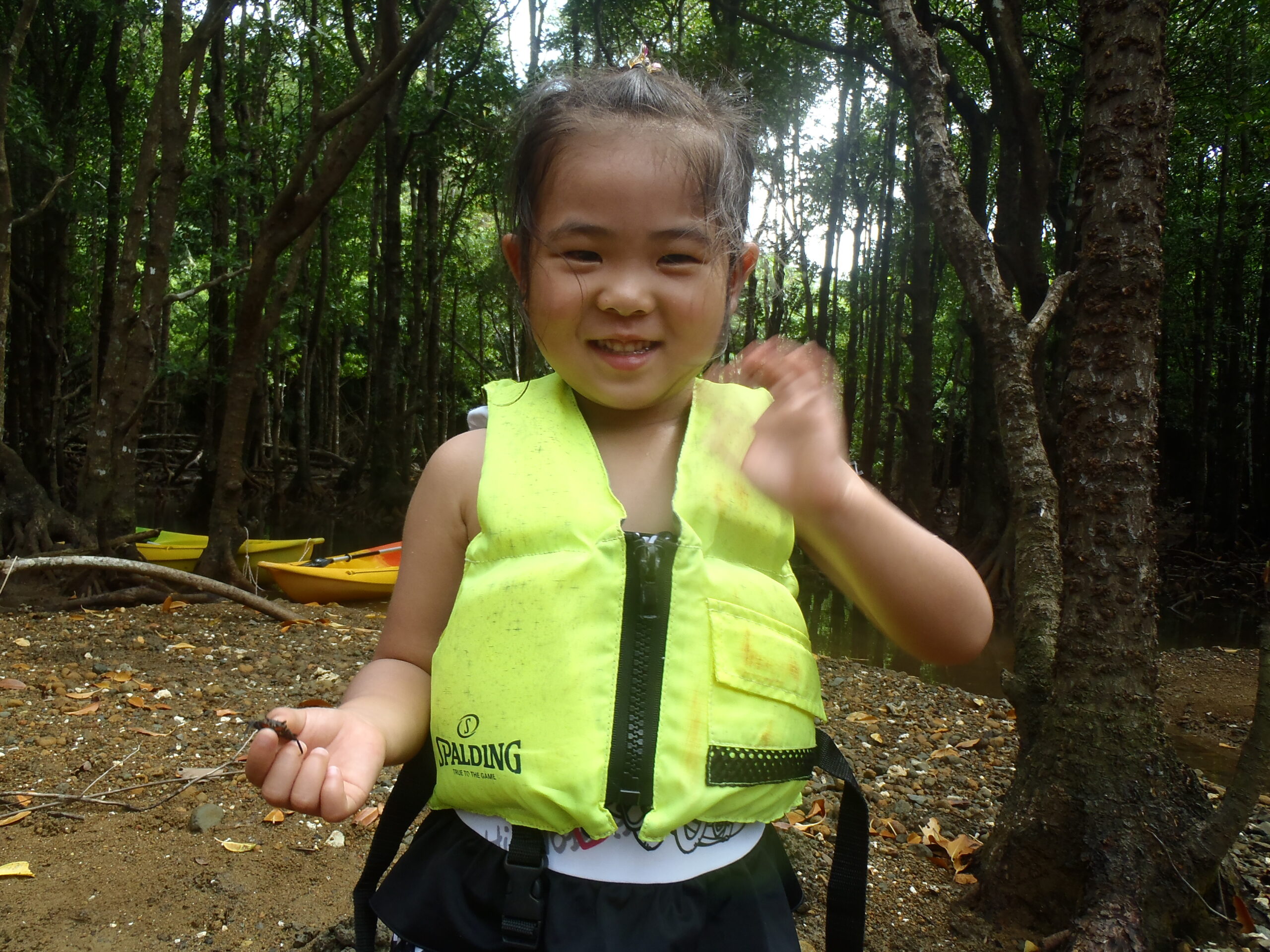 ウミガメに会うシュノーケリング -石垣島-