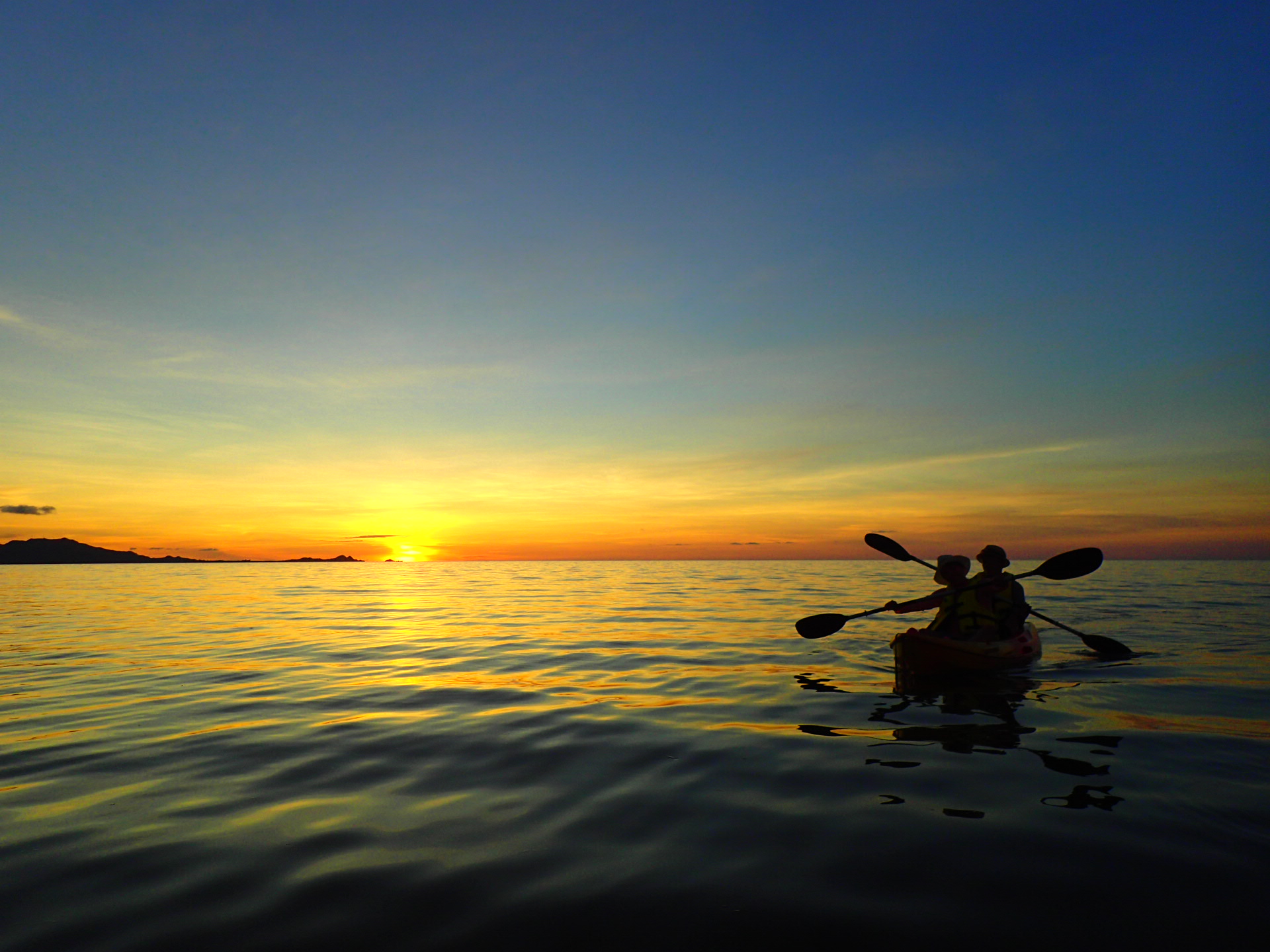マングローブ+サンセットカヤック